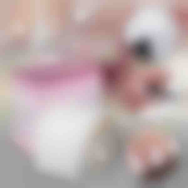 Glasfaser- und Seidennagelwickelrolle | EZNAIL