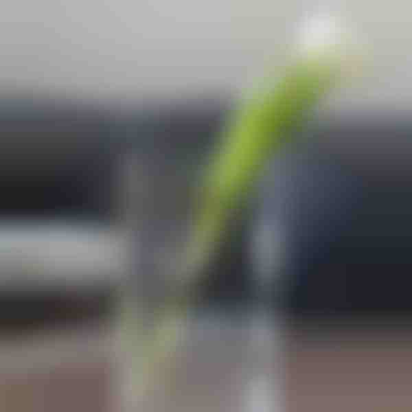 Schicke Vase in Buchform für Blumen | FLOWERFRAME