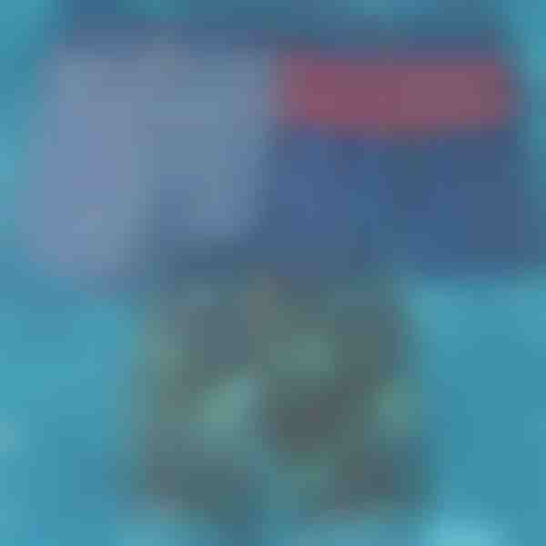 Schnell trocknende Badehose | TOGGIES