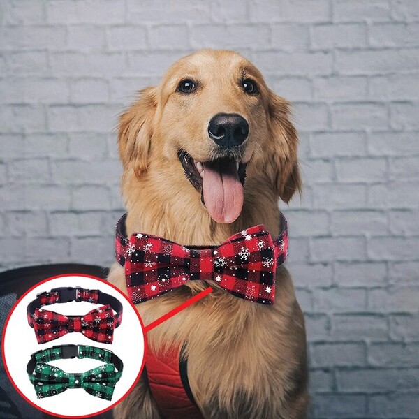 DOGICOLLAR